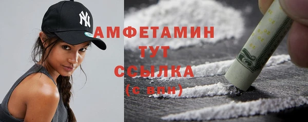 прущие грибы Михайлов