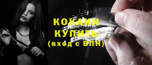прущие грибы Михайлов