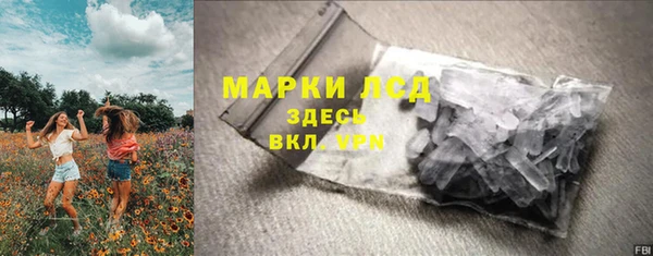 ПСИЛОЦИБИНОВЫЕ ГРИБЫ Гатчина